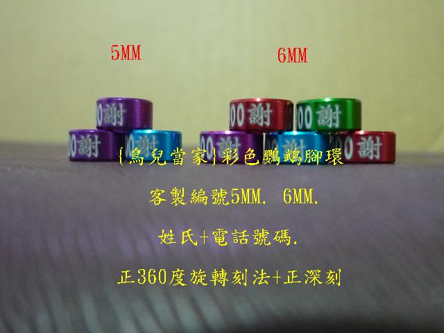 P1130994.JPG