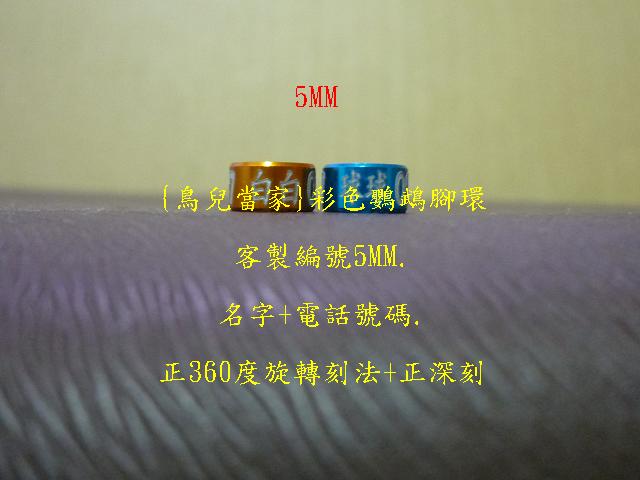 P1130999.JPG