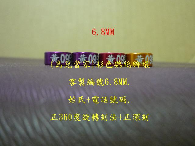 P1140004.JPG