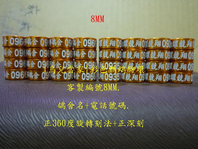 P1140178.JPG