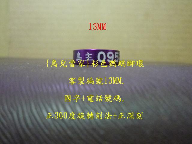 P1140307.JPG