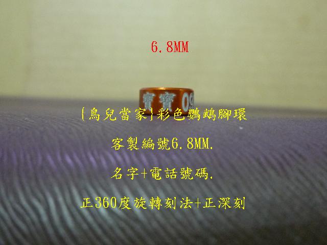 P1140364.JPG