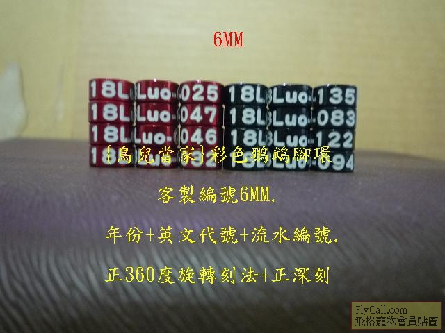 P1140464.JPG