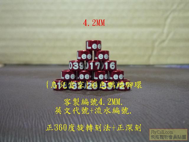 P1130300.JPG