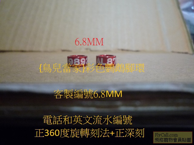P1140749.JPG