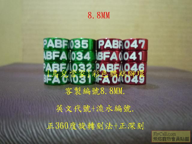 P1140401.JPG