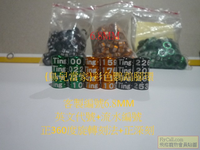 P1140766.JPG