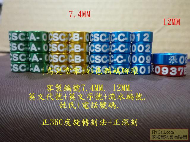 P1130317.JPG