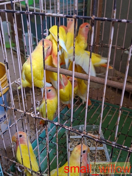 63004_0.jpg