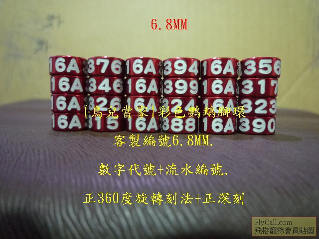 P1140193.JPG