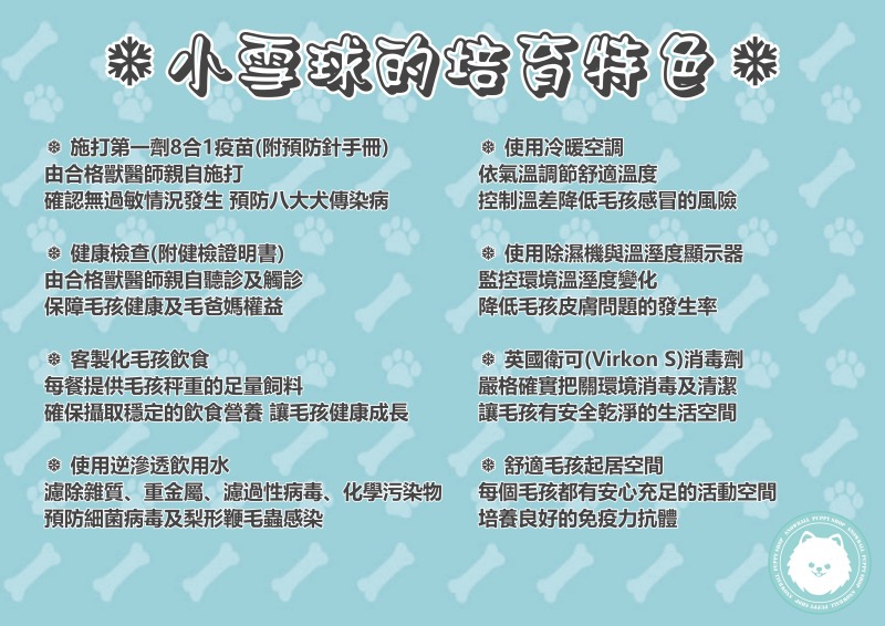 小雪球的培育特色.jpg