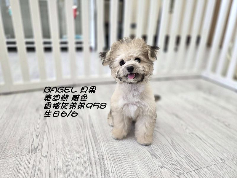 0915101.jpg