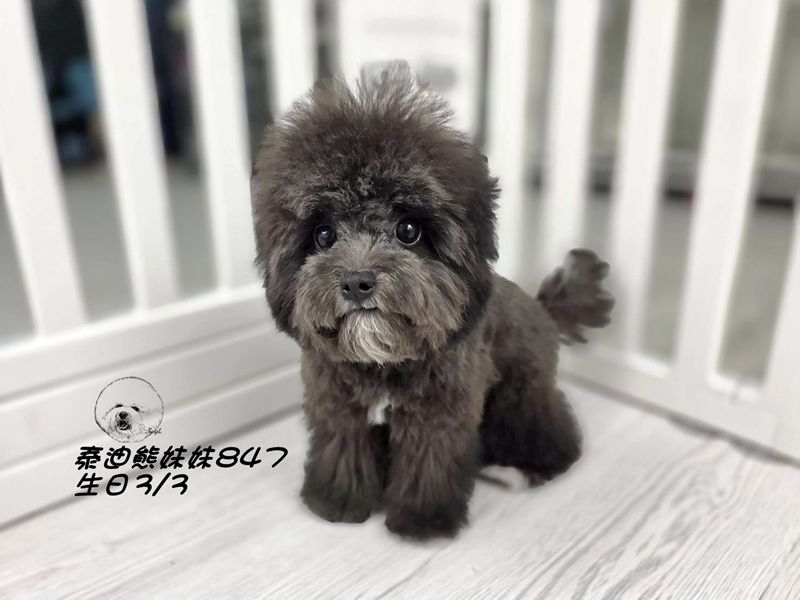 0727202.jpg