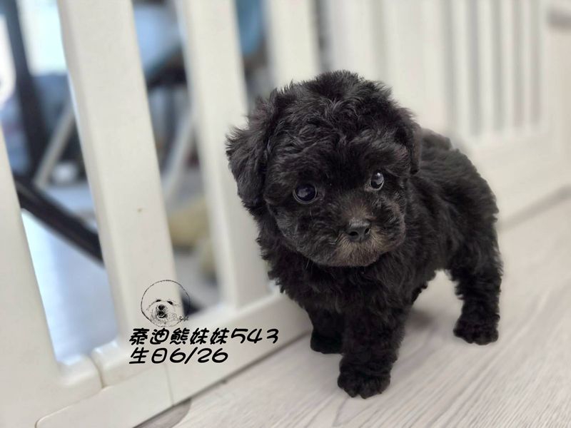 0819203.jpg