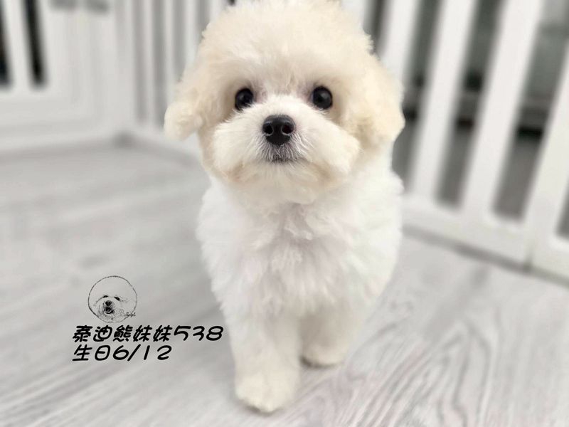 0827401.jpg