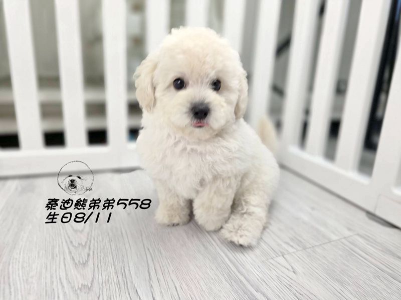 1007105.jpg